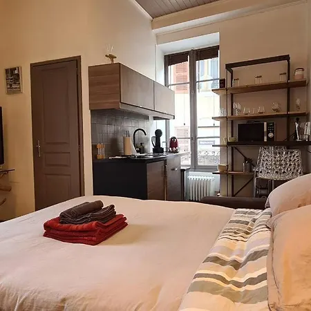 Hyper Centre Et Bord Du Annecy